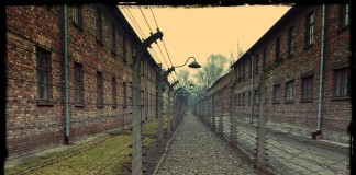 Auschwitz-Birkenau. Video poesia “L’odio” di Wislawa Szymborska