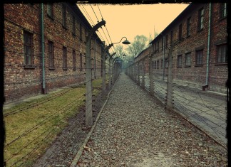 Auschwitz-Birkenau. Video poesia “L’odio” di Wislawa Szymborska