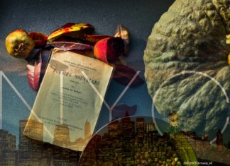 L’autunno è un sogno a occhi aperti